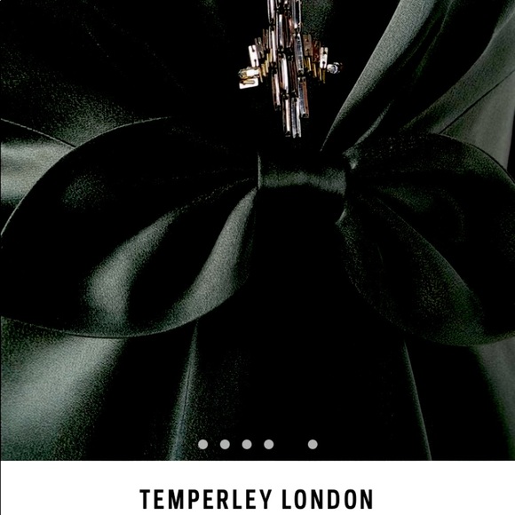 ✨HP✨Silk Temperly London Olive Gown w/ center slit - Picture 4 of 4